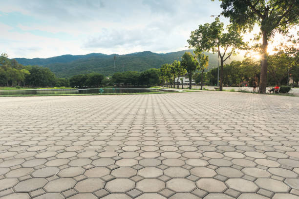 Best Permeable Paver Driveway  in Ronceverte, WV